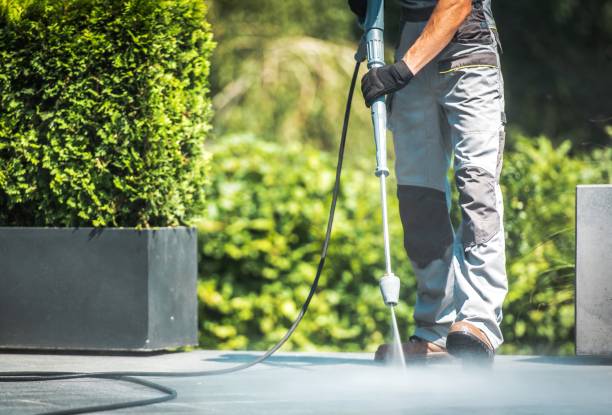 Best Boat and Dock Cleaning  in Pinch, WV